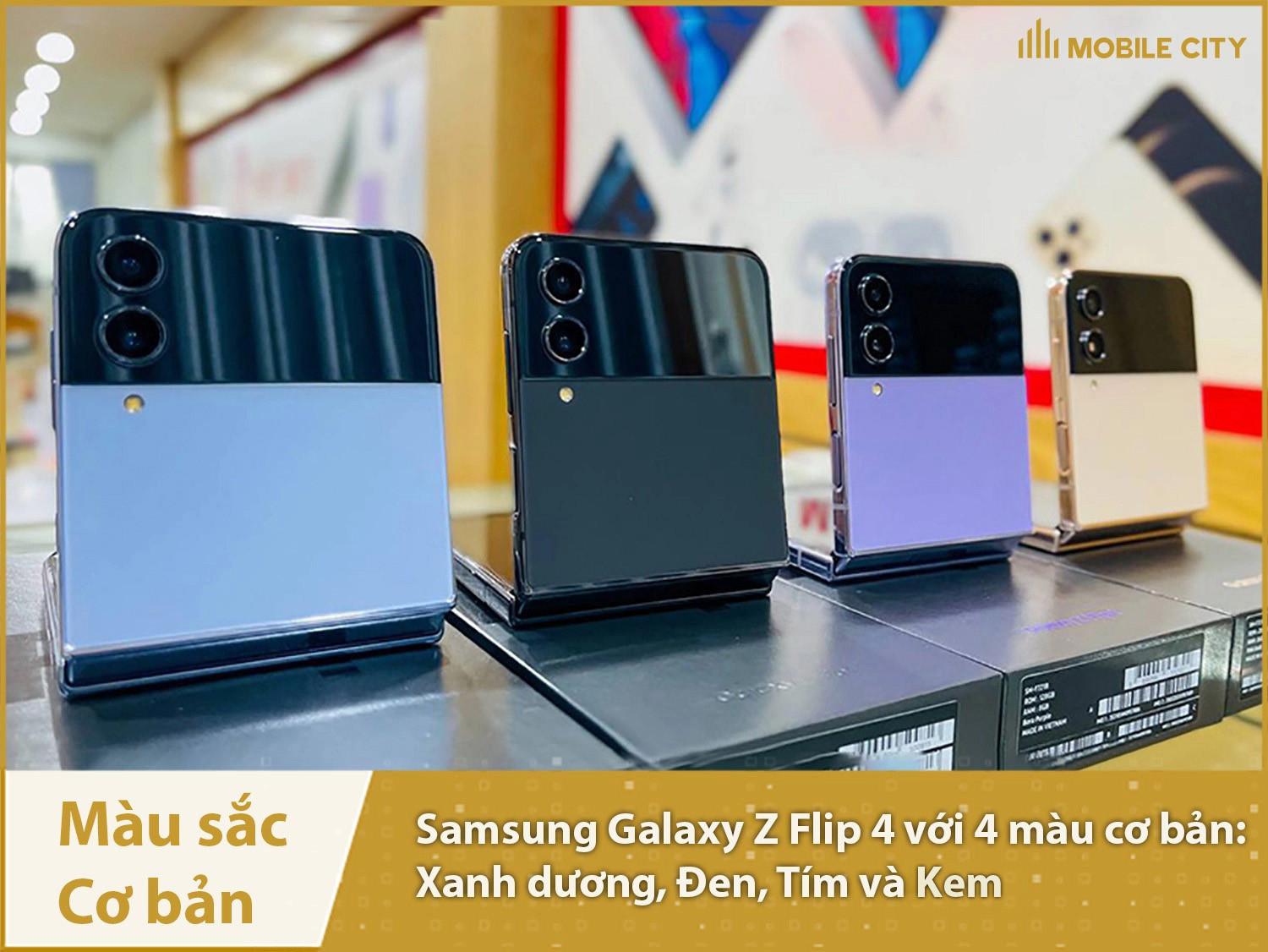 4 màu sắc cơ bản