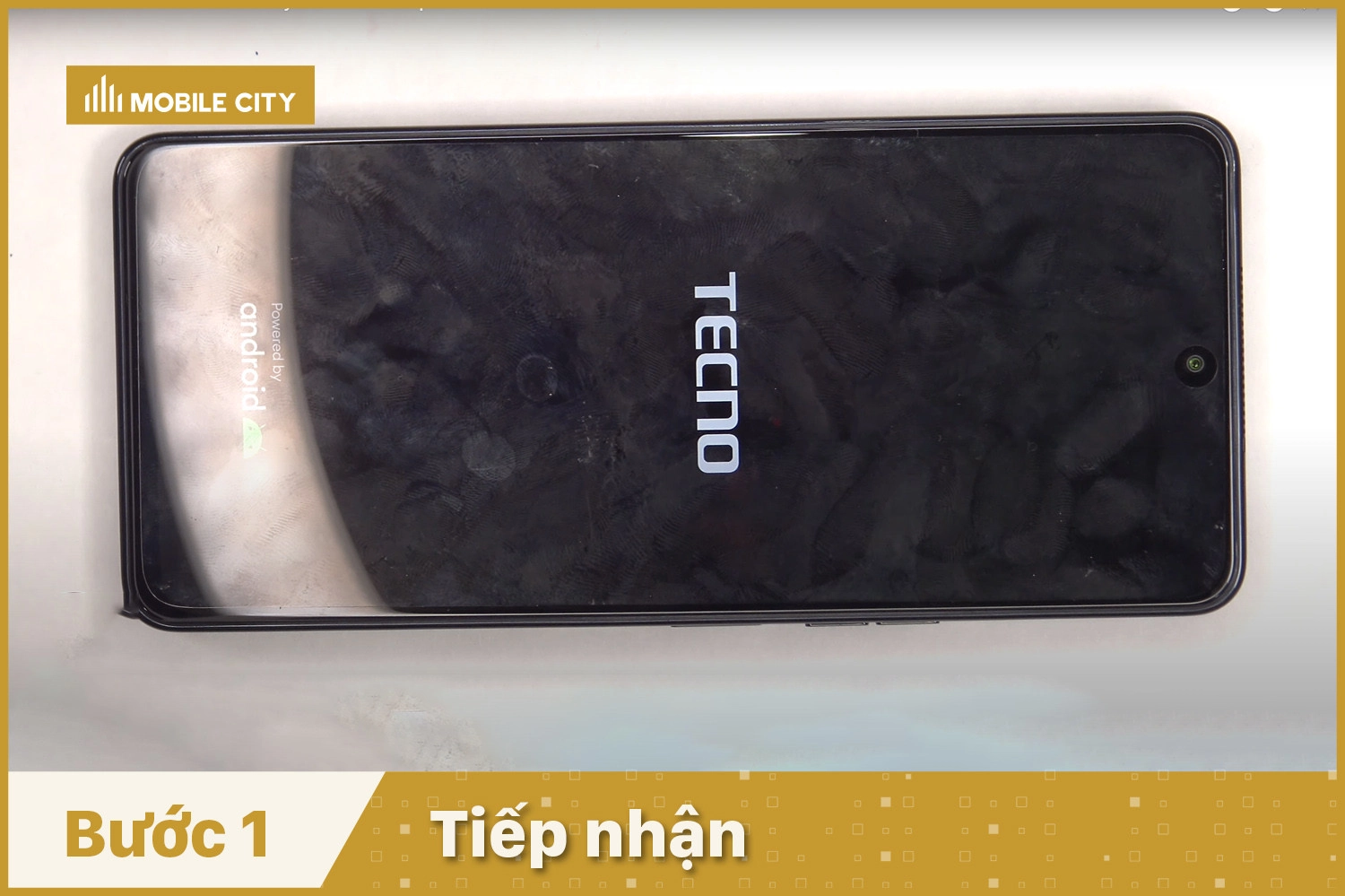 Tiếp nhận