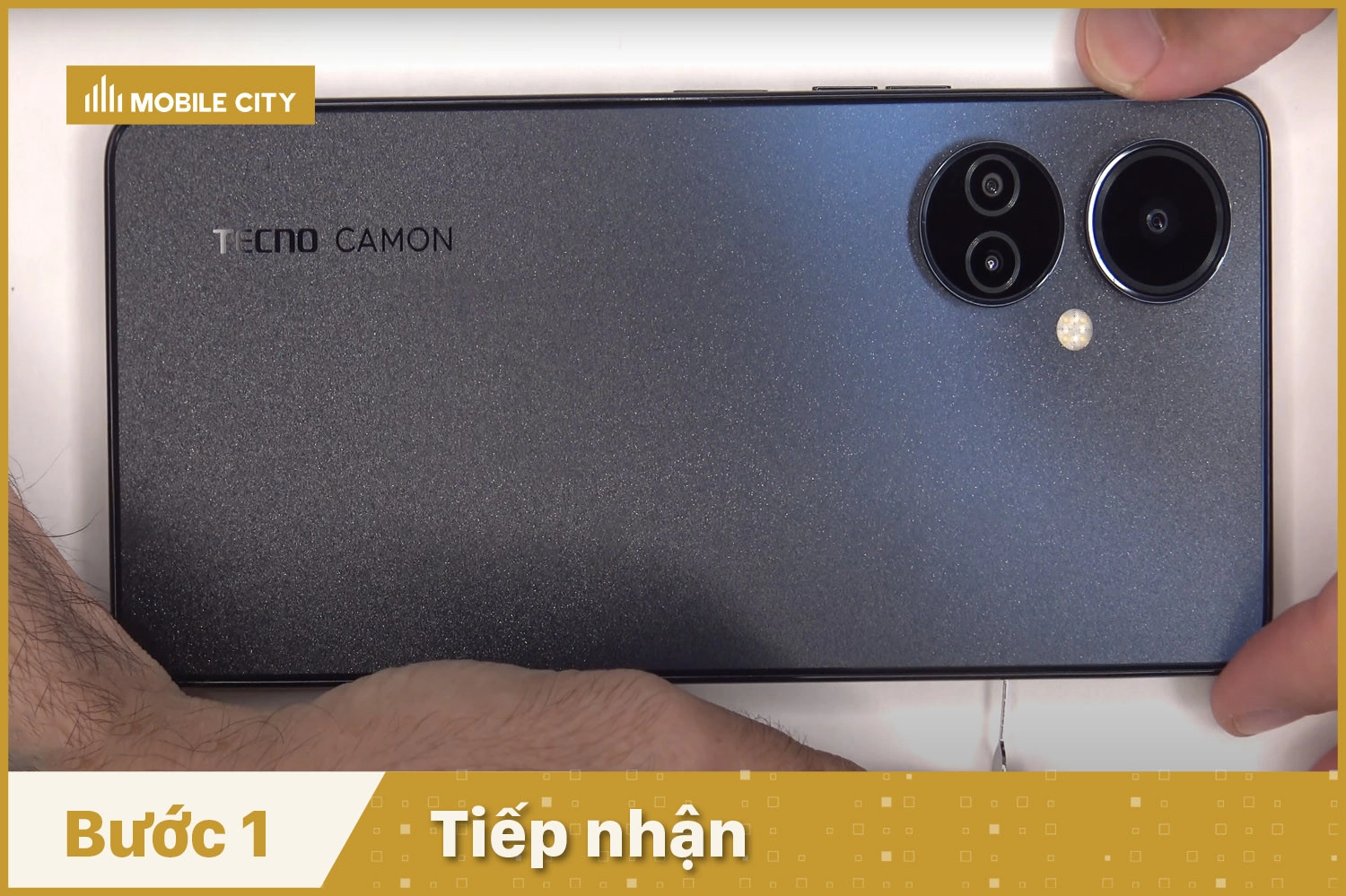 Tiếp nhận