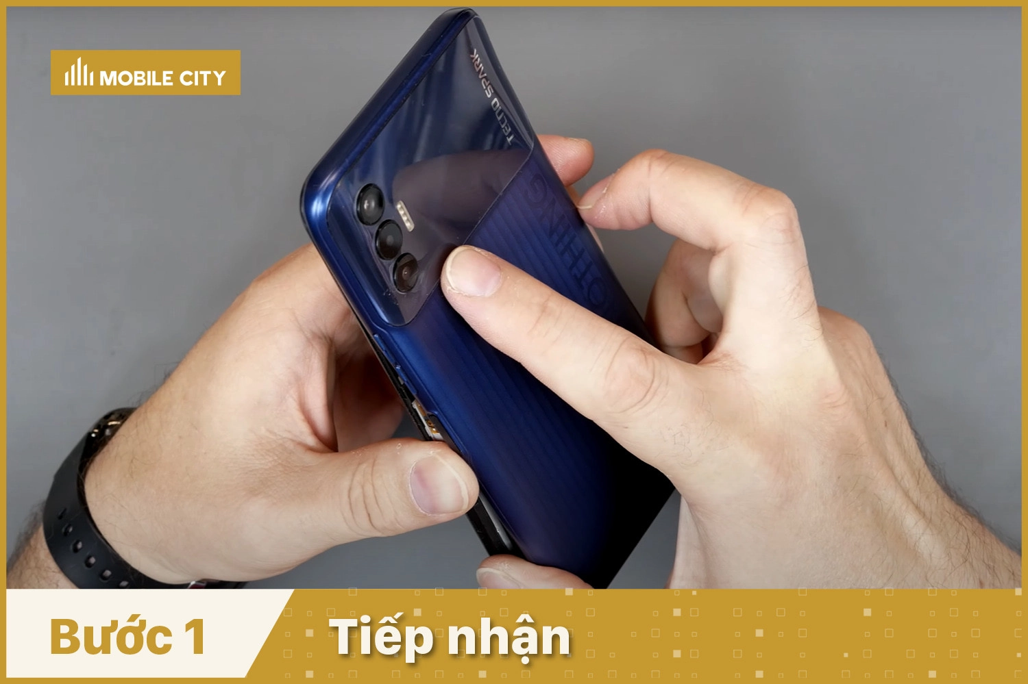 Tiếp nhận