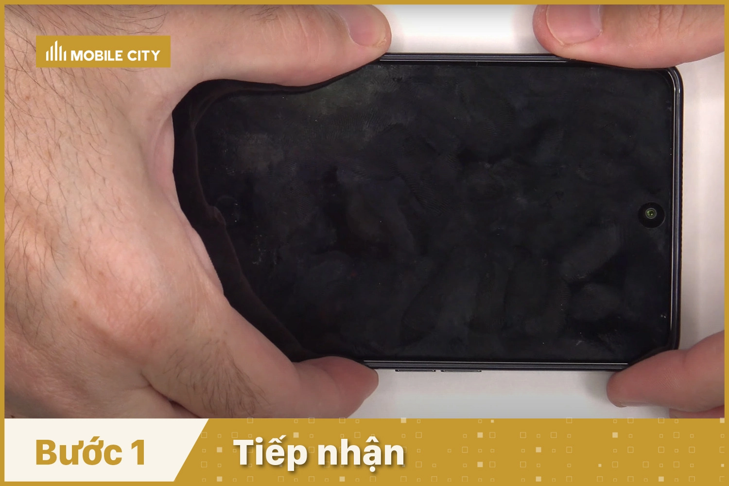 Tiếp nhận