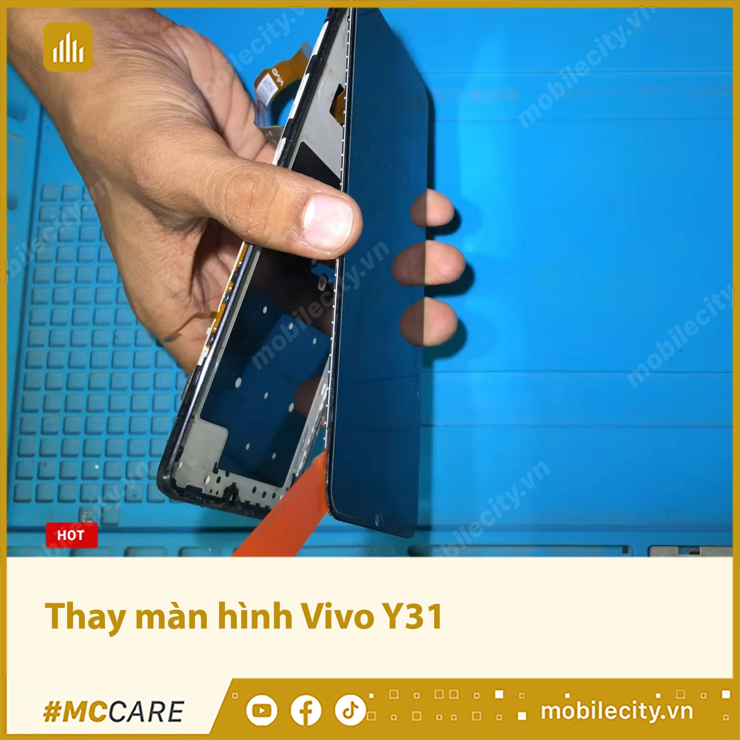 Thay màn hình Vivo Y31