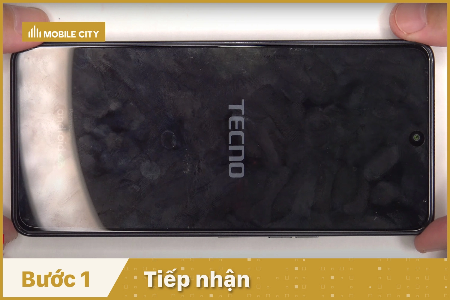 Tiếp nhận