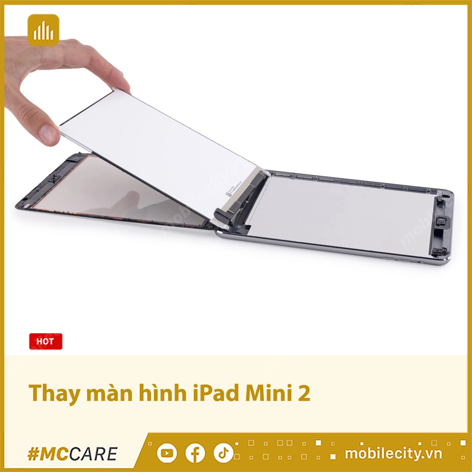 Thay màn hình iPad Mini 2