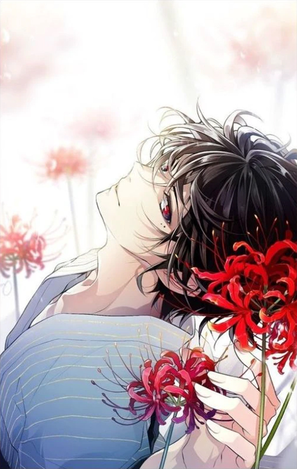 Ảnh nền hoa bỉ ngạn đỏ cùng nhân vật nam anime