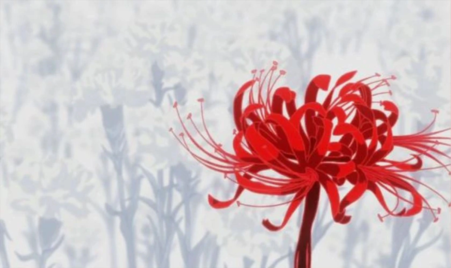  Hình ảnh nền hoa bỉ ngạn đỏ lòe anime phim hoạt hình cho tới máy tính