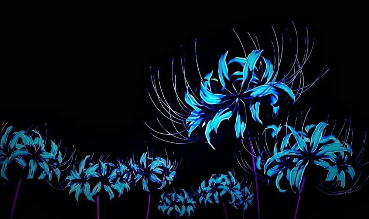  Hình ảnh nền nhiều nhành hoa bỉ ngạn xanh rớt đường nét 4K phong thái anime