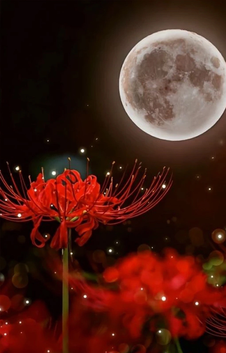  Hình ảnh nền hoa bỉ ngạn đỏ lòe lung linh bên dưới ánh trăng