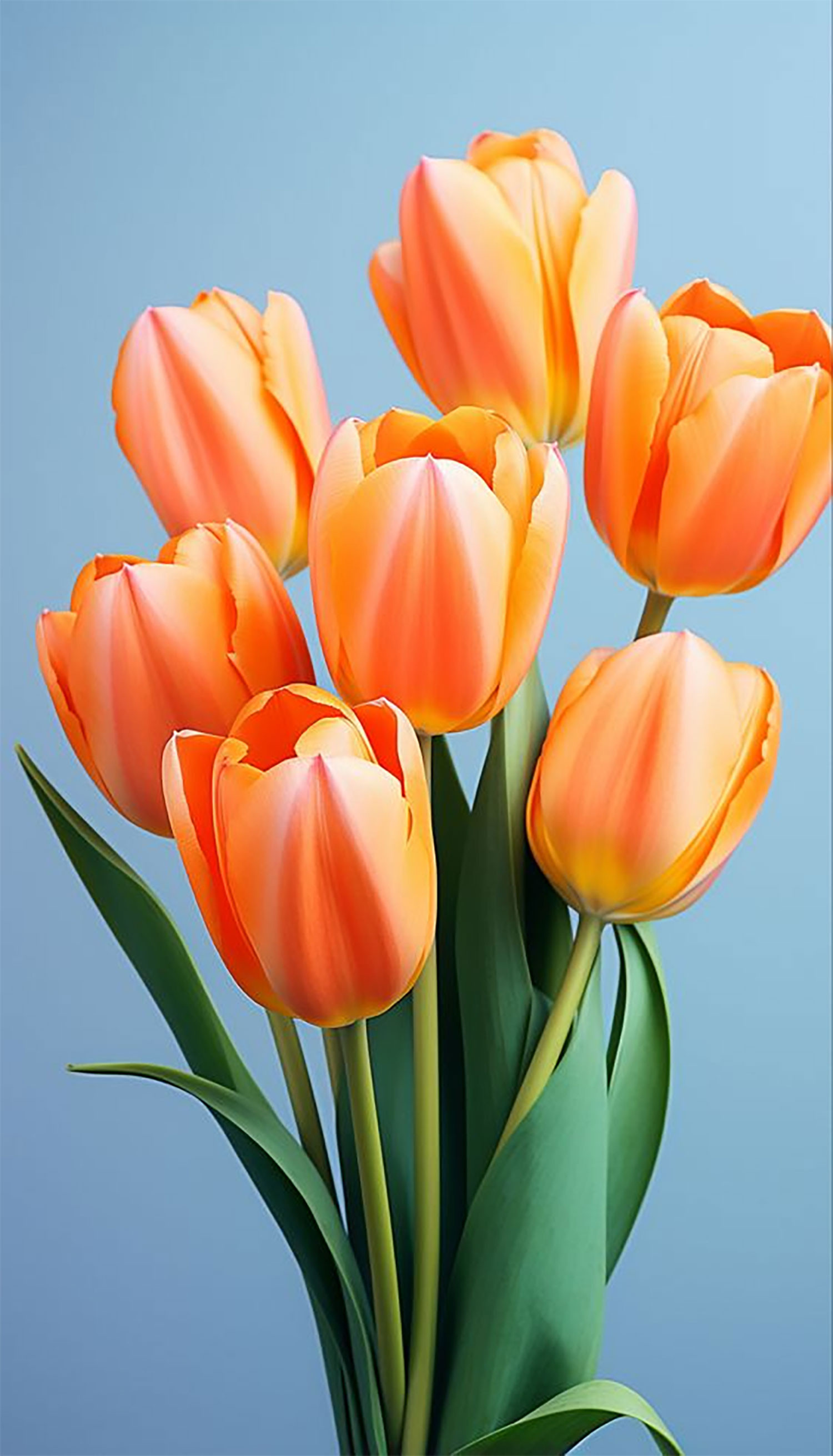 hinh-nen-hoa-tulip-16