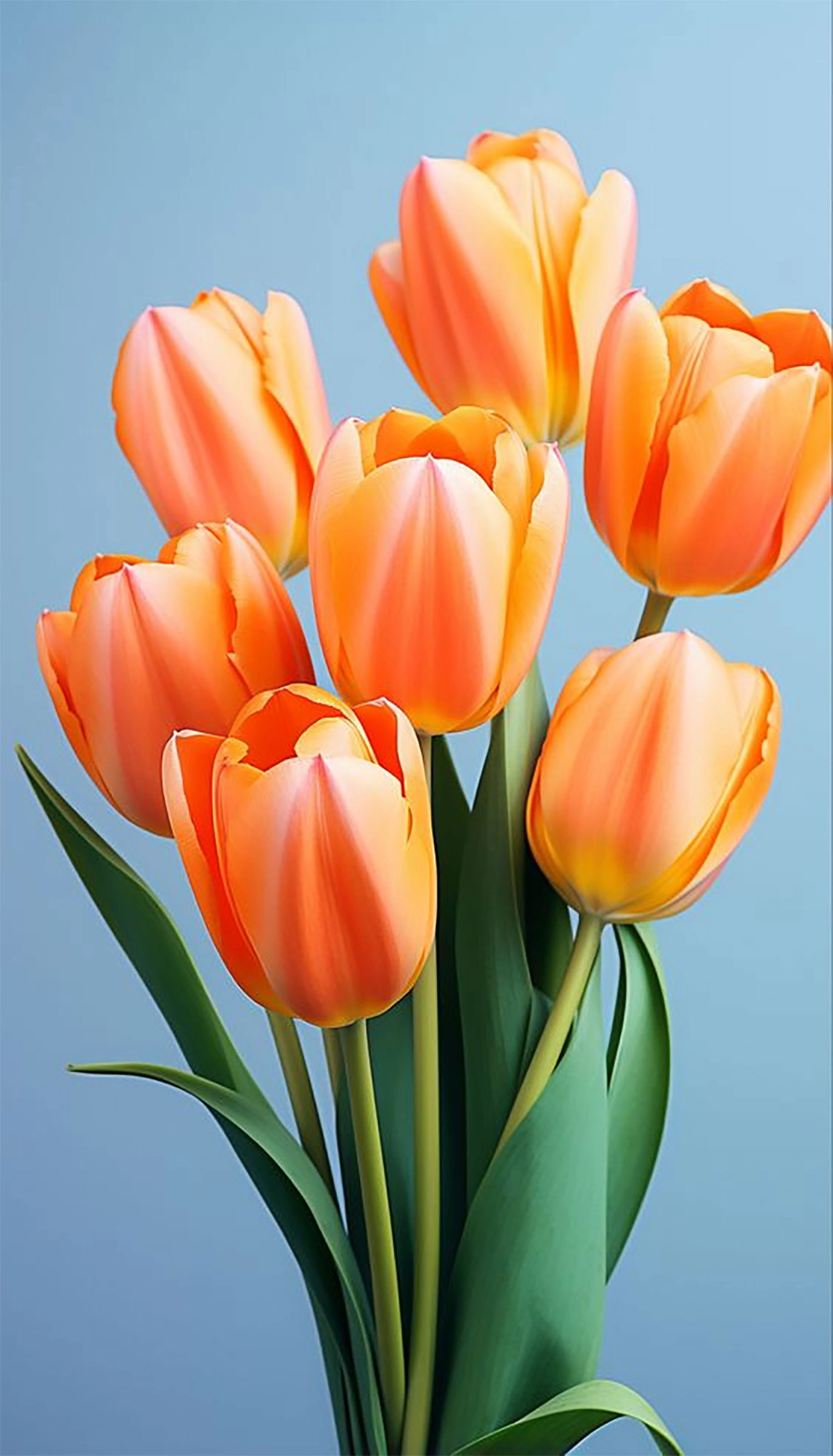  hinh-nen-hoa-tulip-16