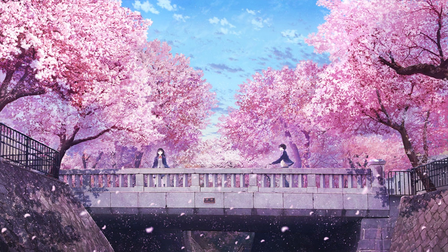 Hình nền phong thái Anime cảnh quan hoa anh đào