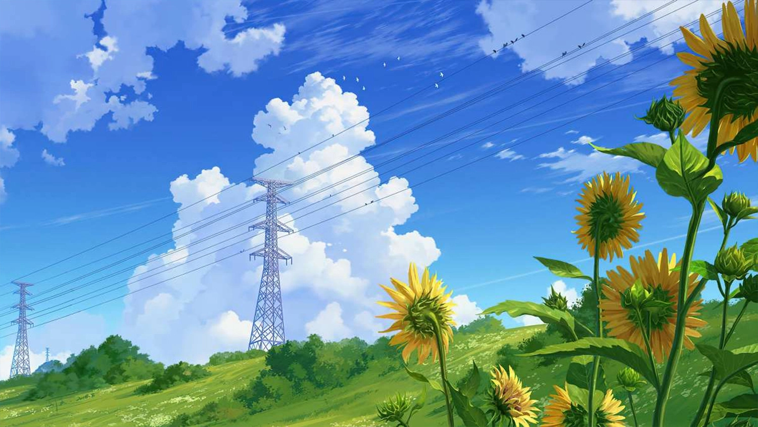 Hình nền phong thái Anime cảnh quan hoa phía dương