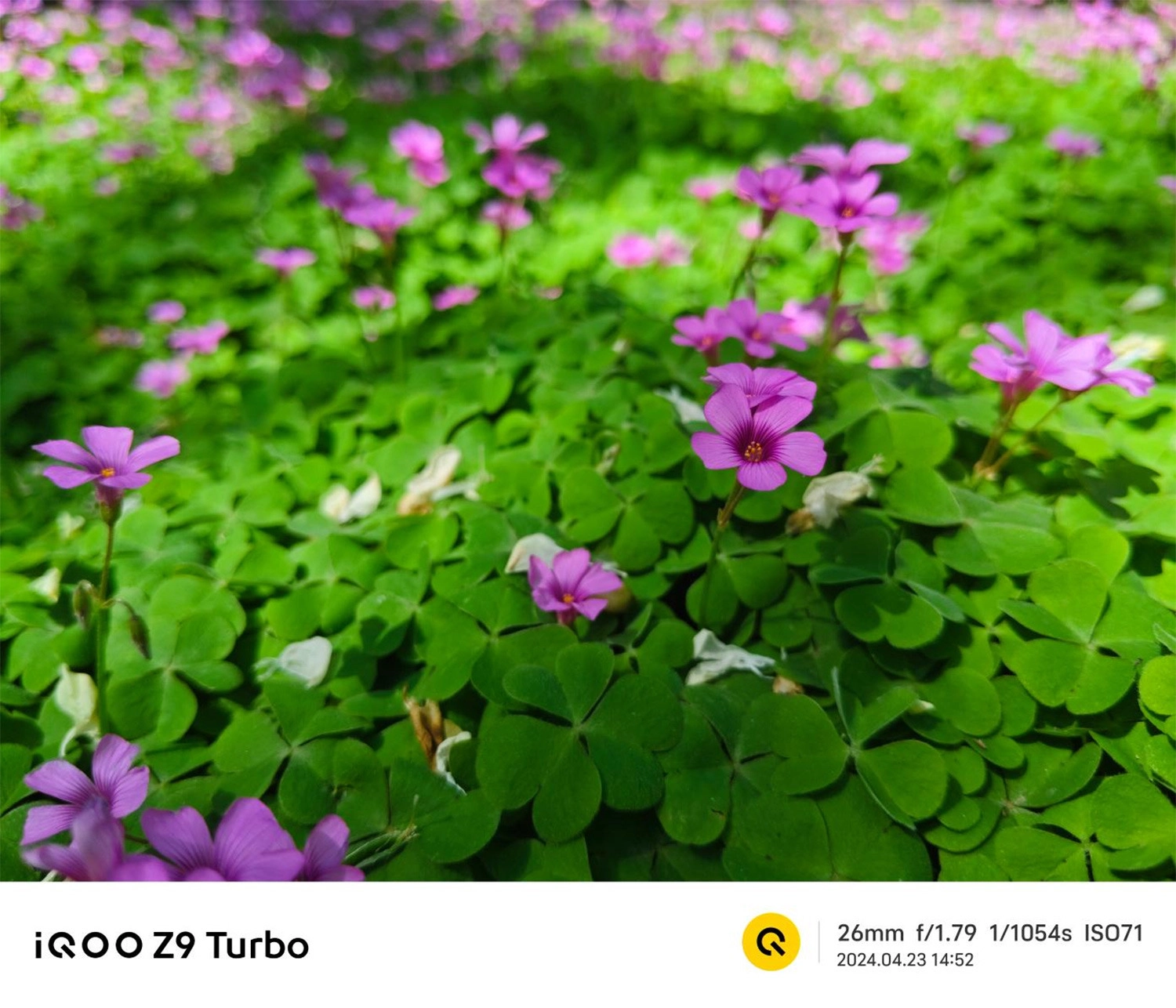 Mở hộp Vivo iQOO Z9 Turbo, Ảnh chụp bằng điện thoại Vivo iQOO Z9 Turbo