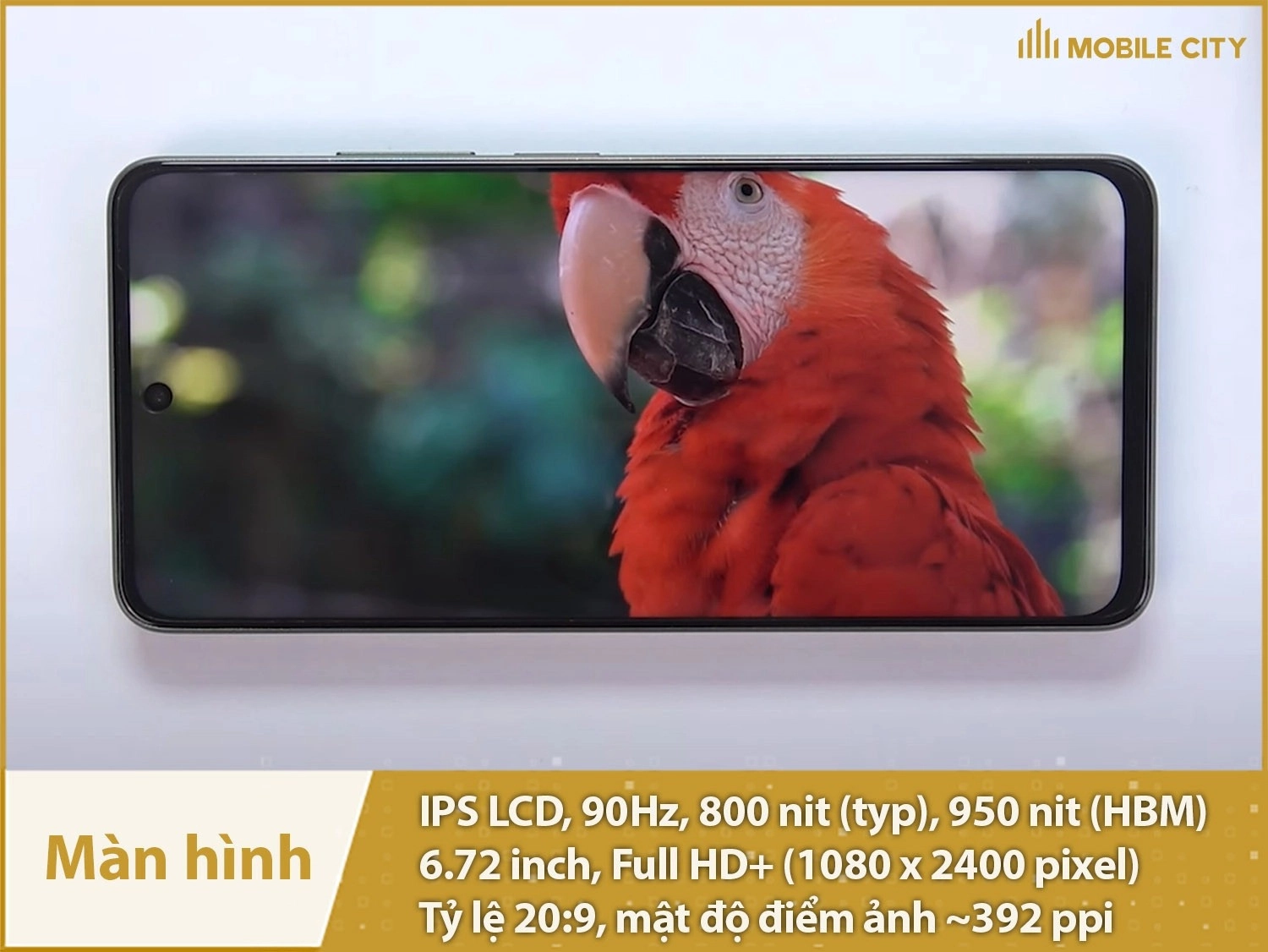 Realme 12 Lite có tấm nền IPS LCD 90Hz