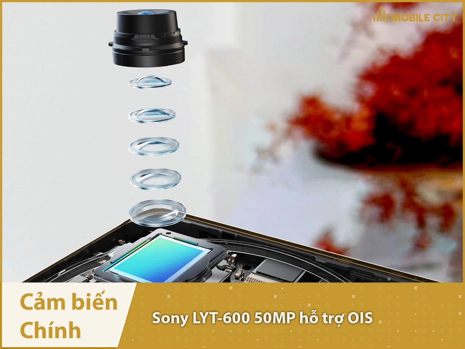 realme-p1-pro-5g-noi-bat-cam-bien-chinh
