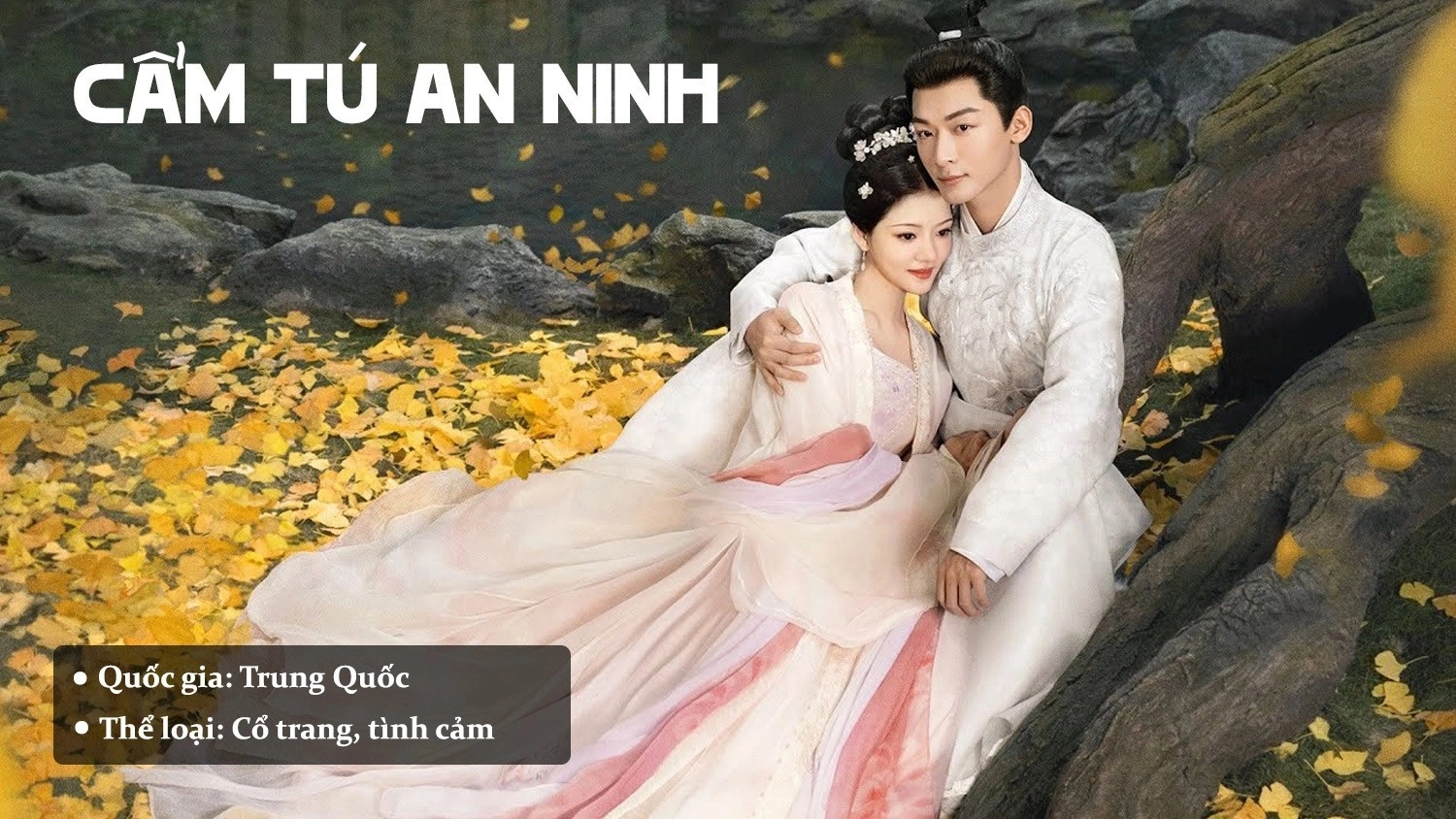 phim-kiem-hiep-trung-quoc-cam-tu-an-ninh