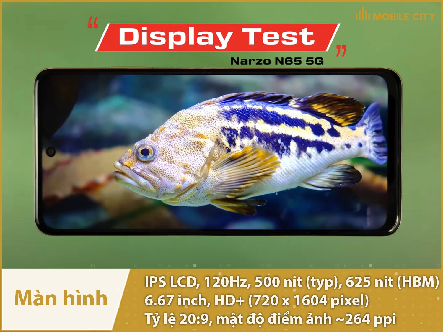 Màn hình IPS LCD 120Hz cực mượt