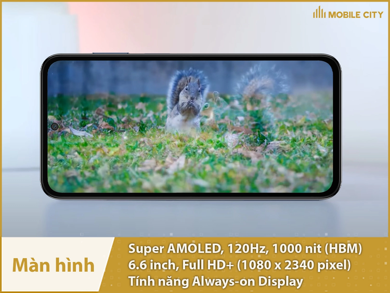 Màn hình 6,6 inch, Super AMOLED 120Hz, Full HD+