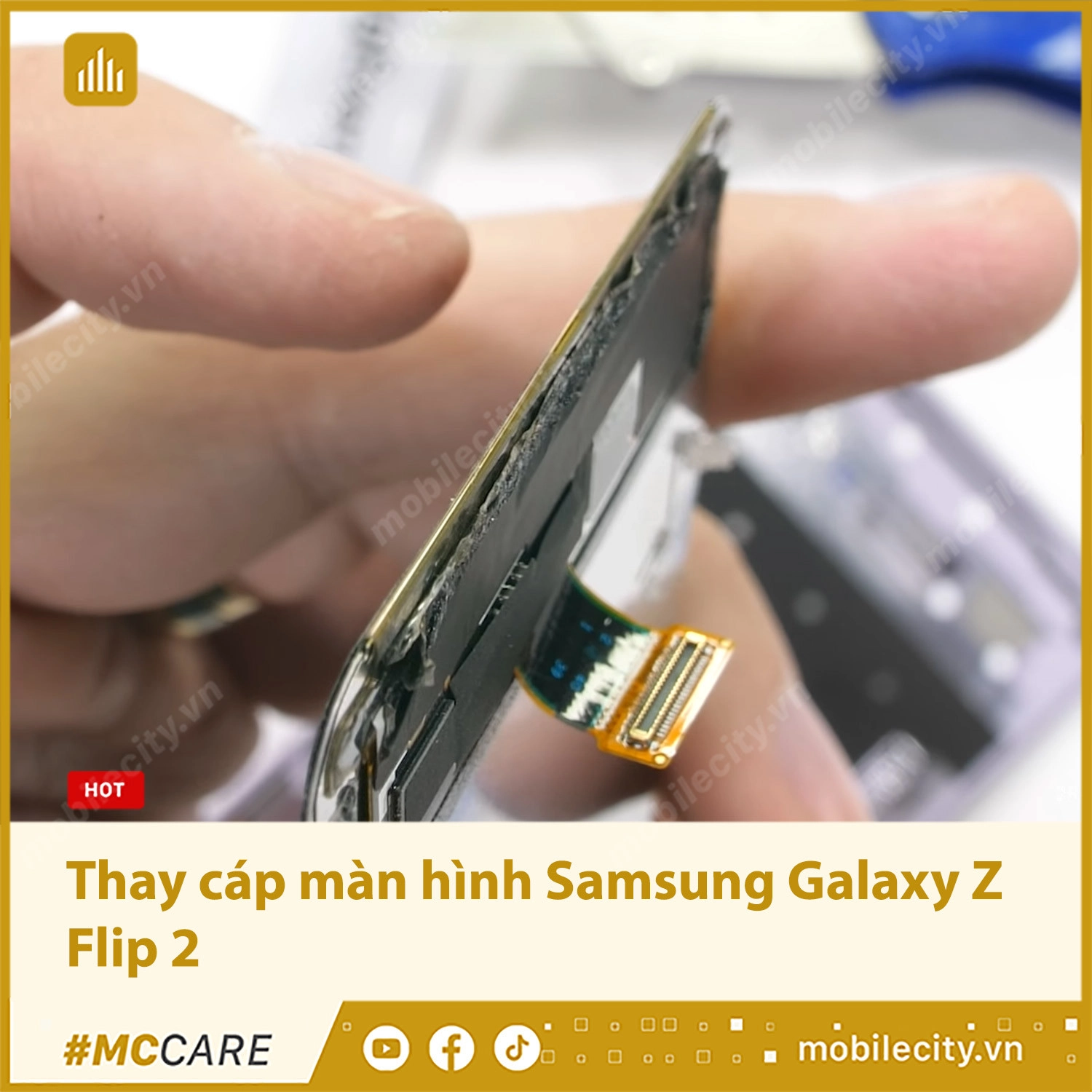 Thay cáp màn hình Samsung Galaxy Z Flip 2