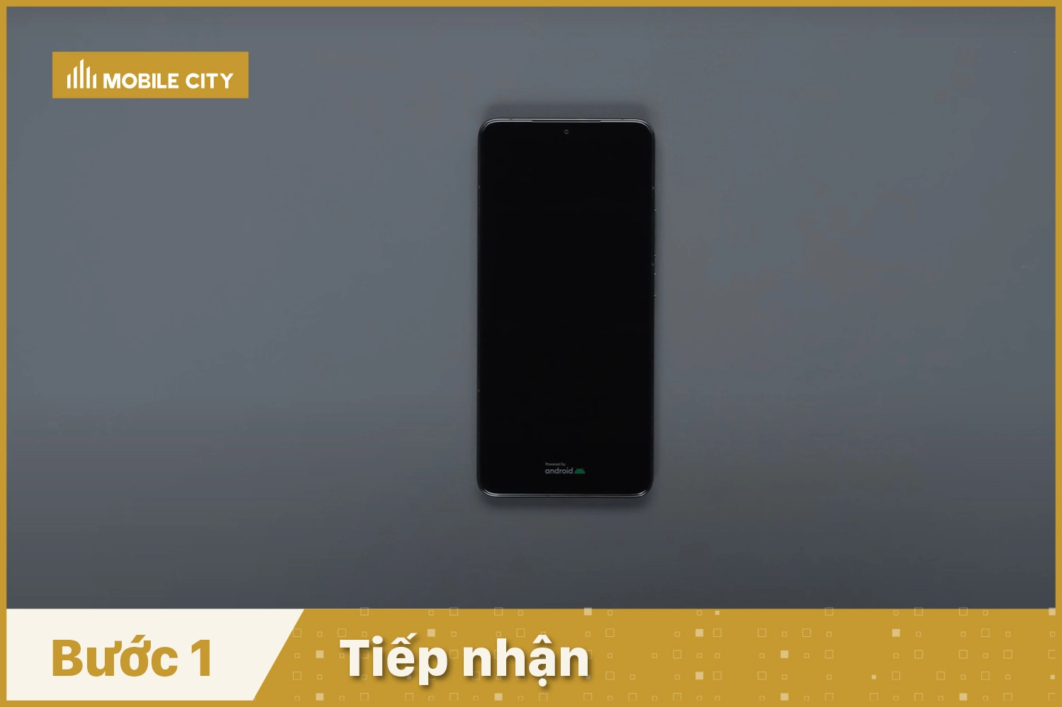 Tiếp nhận