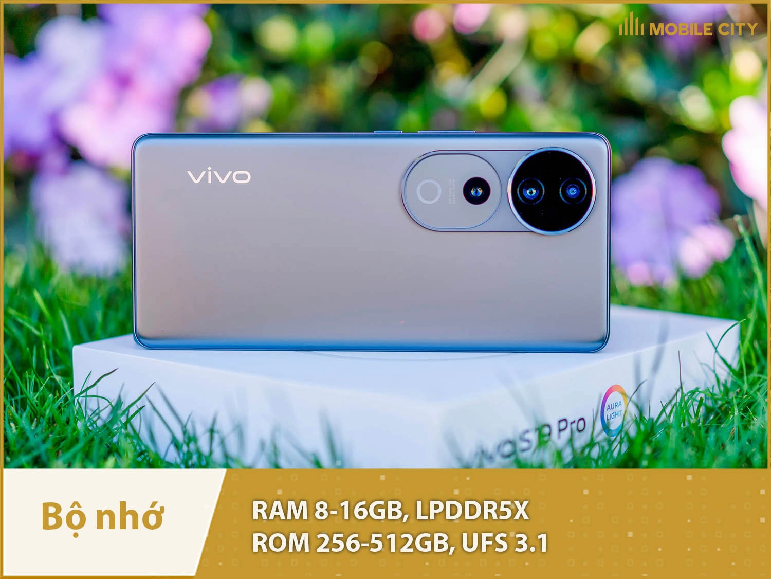 Vivo S19 Pro có các phiên bản bộ nhớ: 8-256GB, 12-256GB, 12-512GB và 16-512GB