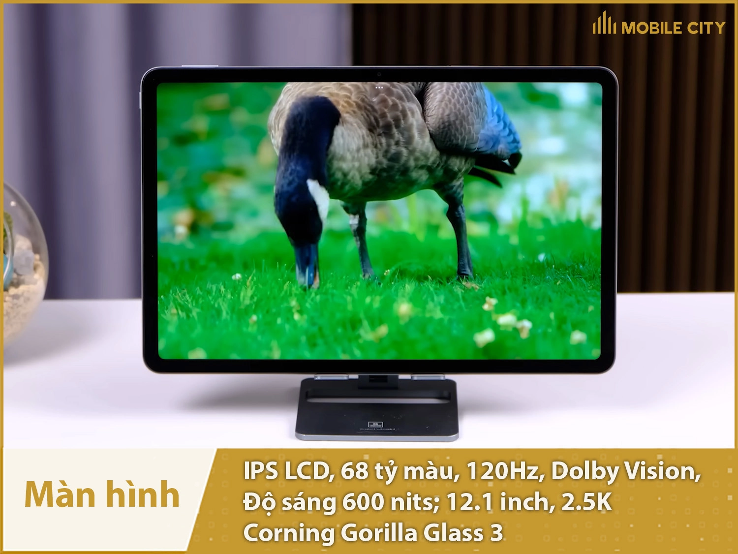 Màn hình IPS LCD 120Hz, 68 tỷ, 2.5K