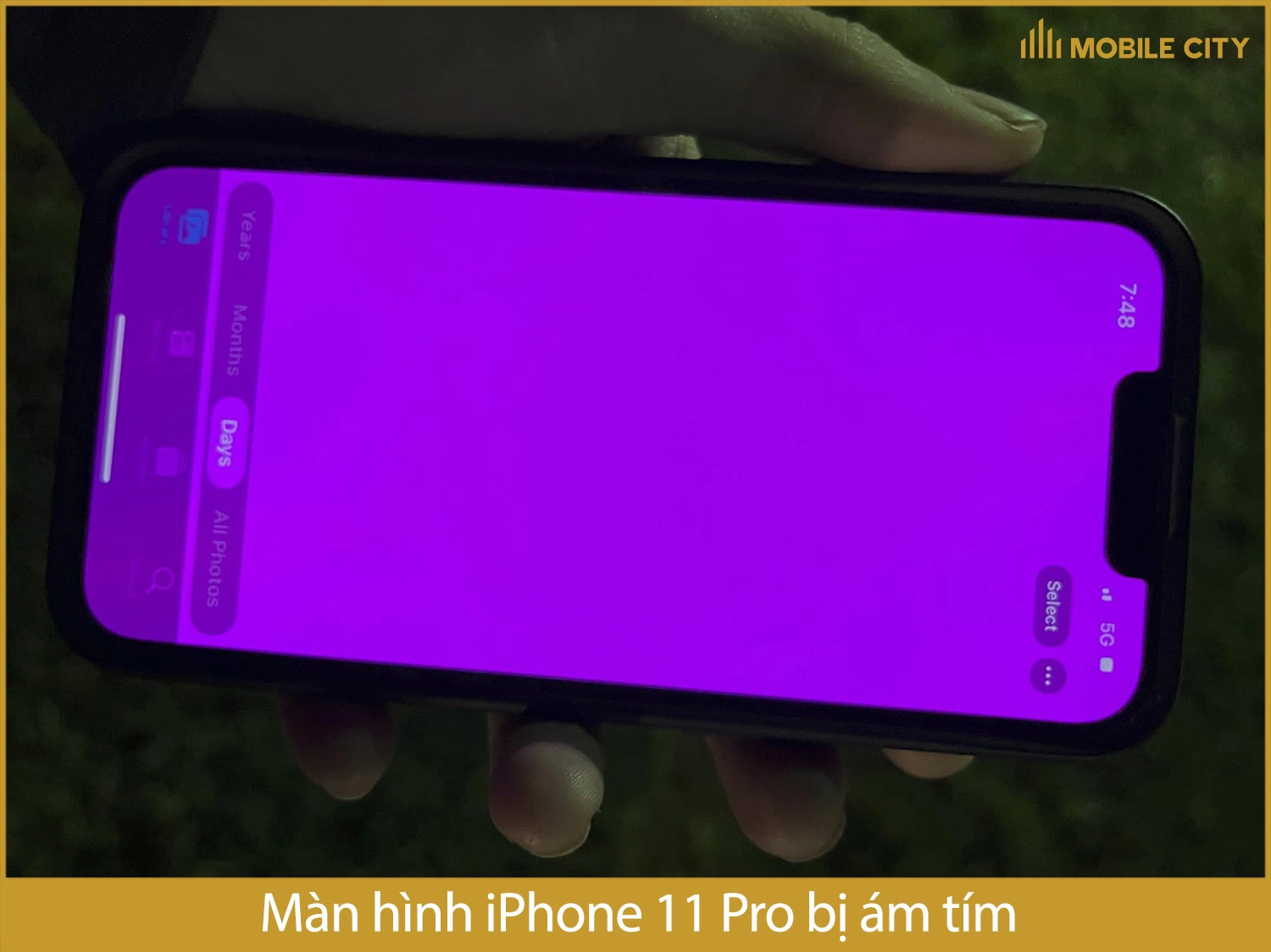 iPhone 11 Pro bị ám tím màn hình