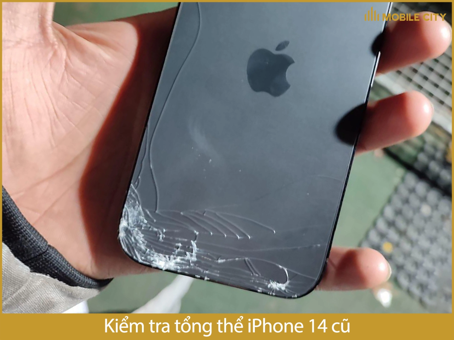 Kiểm tra tổng thể iPhone 14 cũ