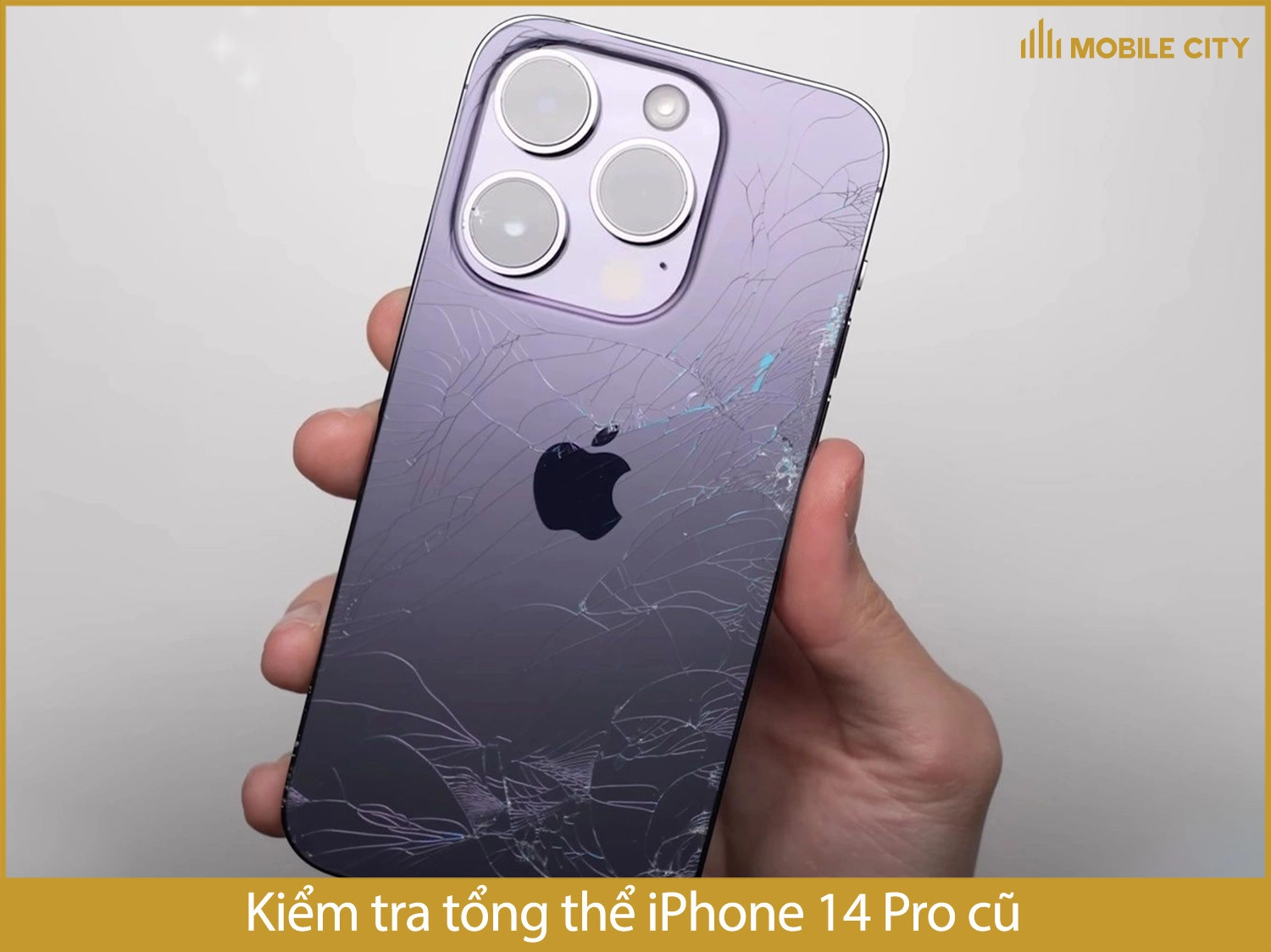 Kiểm tra tổng thể iPhone 14 Pro cũ