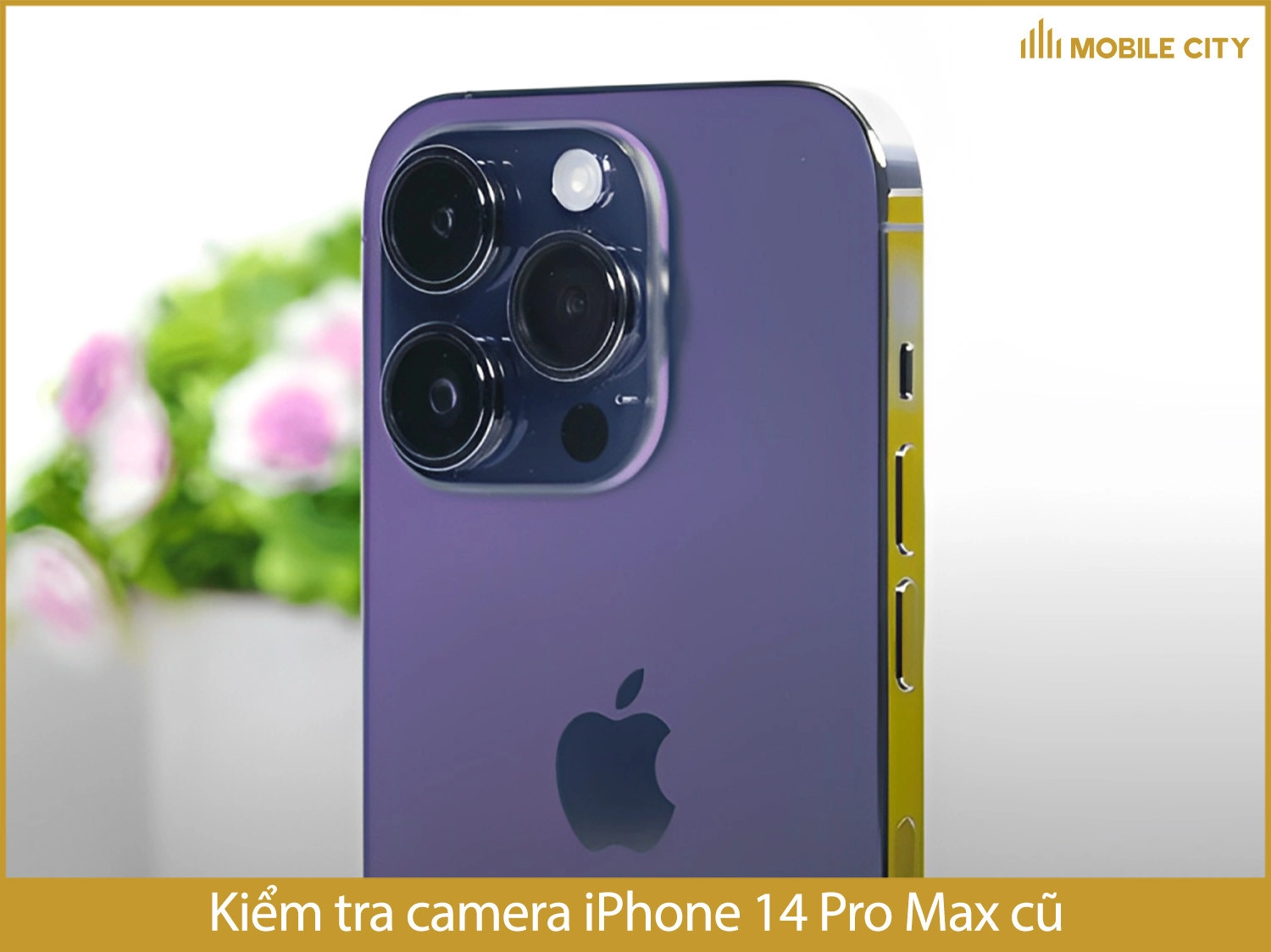 Kiểm tra camera iPhone 14 Pro Max cũ