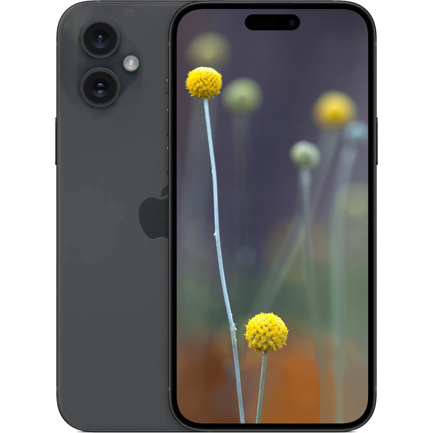 iPhone 16 Plus (ảnh minh họa)