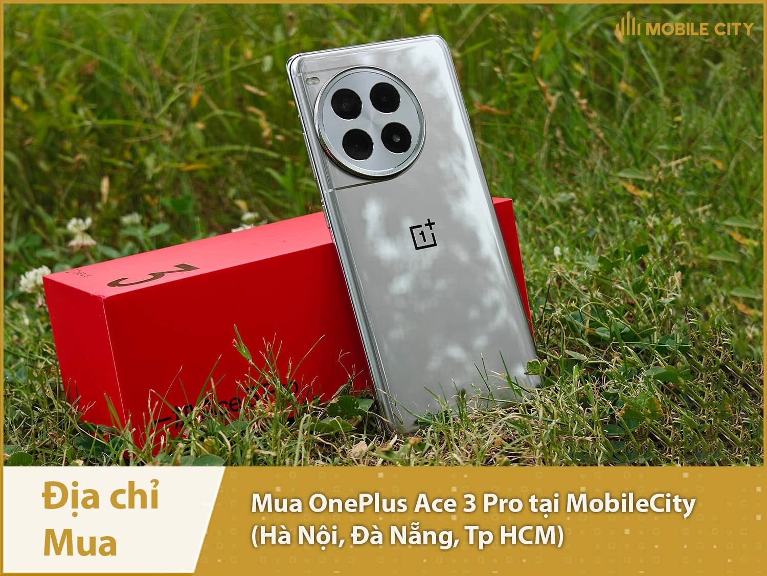 Địa chỉ mua OnePlus Ace 3 Pro tại MobileCity