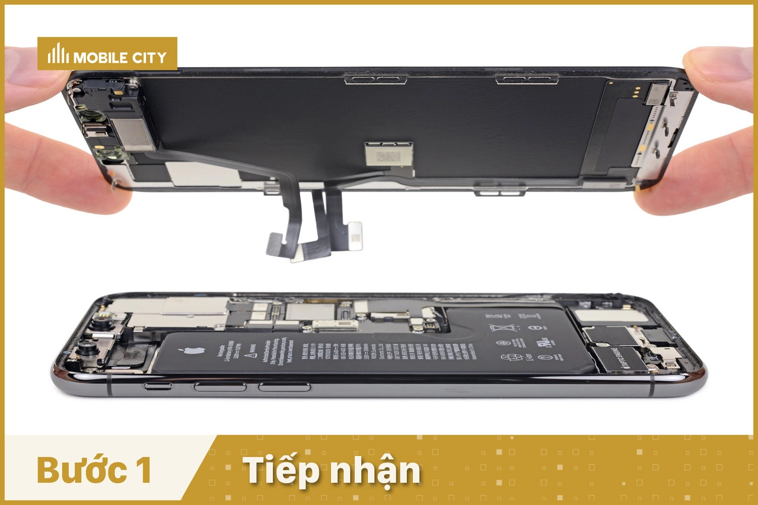 Tiếp nhận