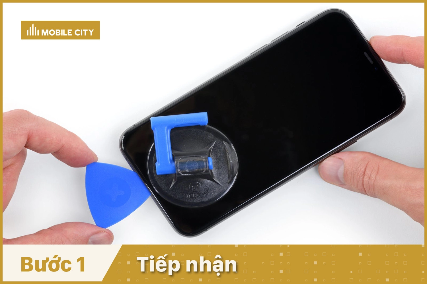 Tiếp nhận