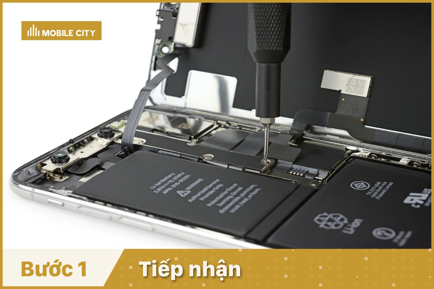 Tiếp nhận