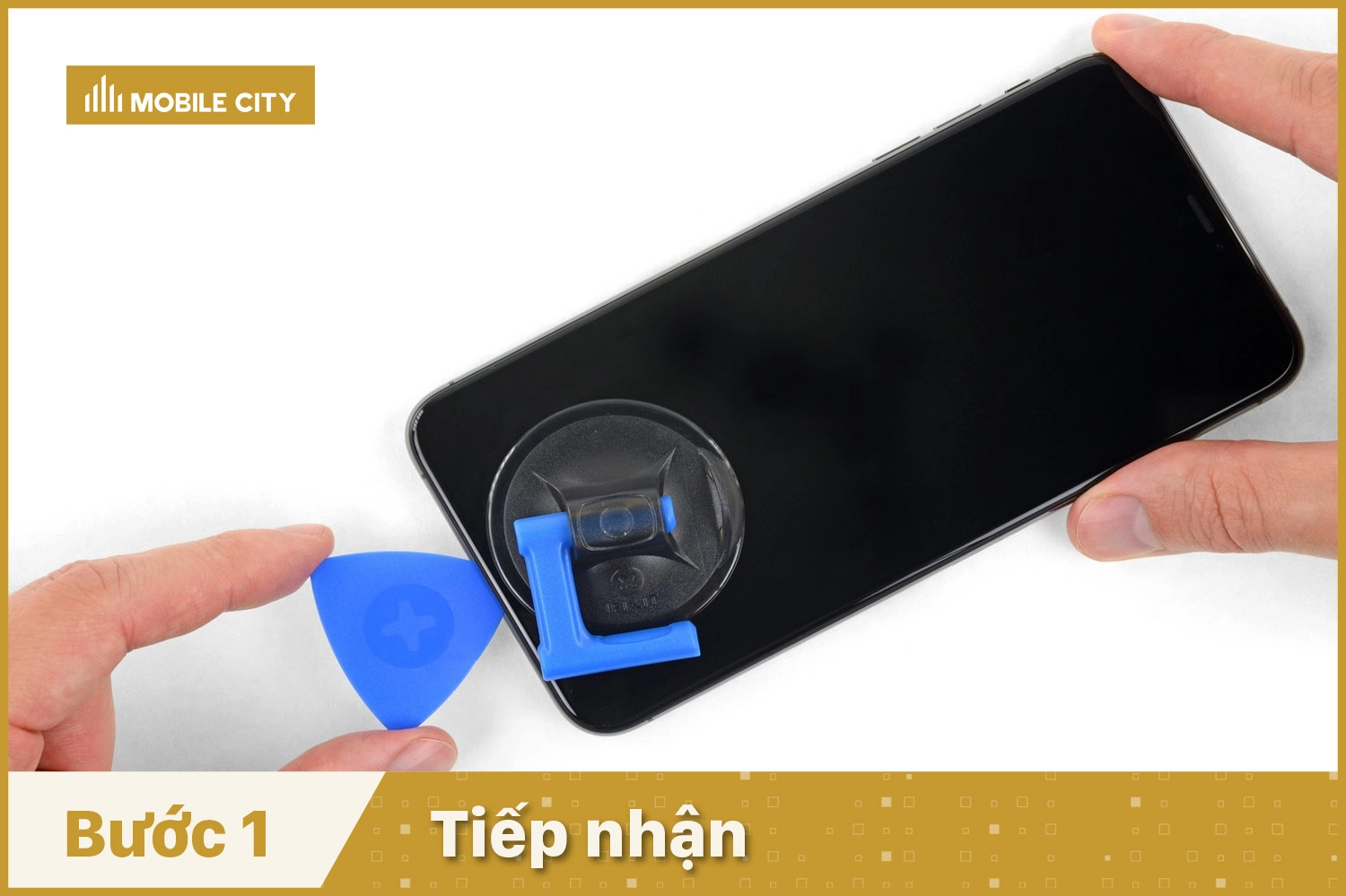 Tiếp nhận