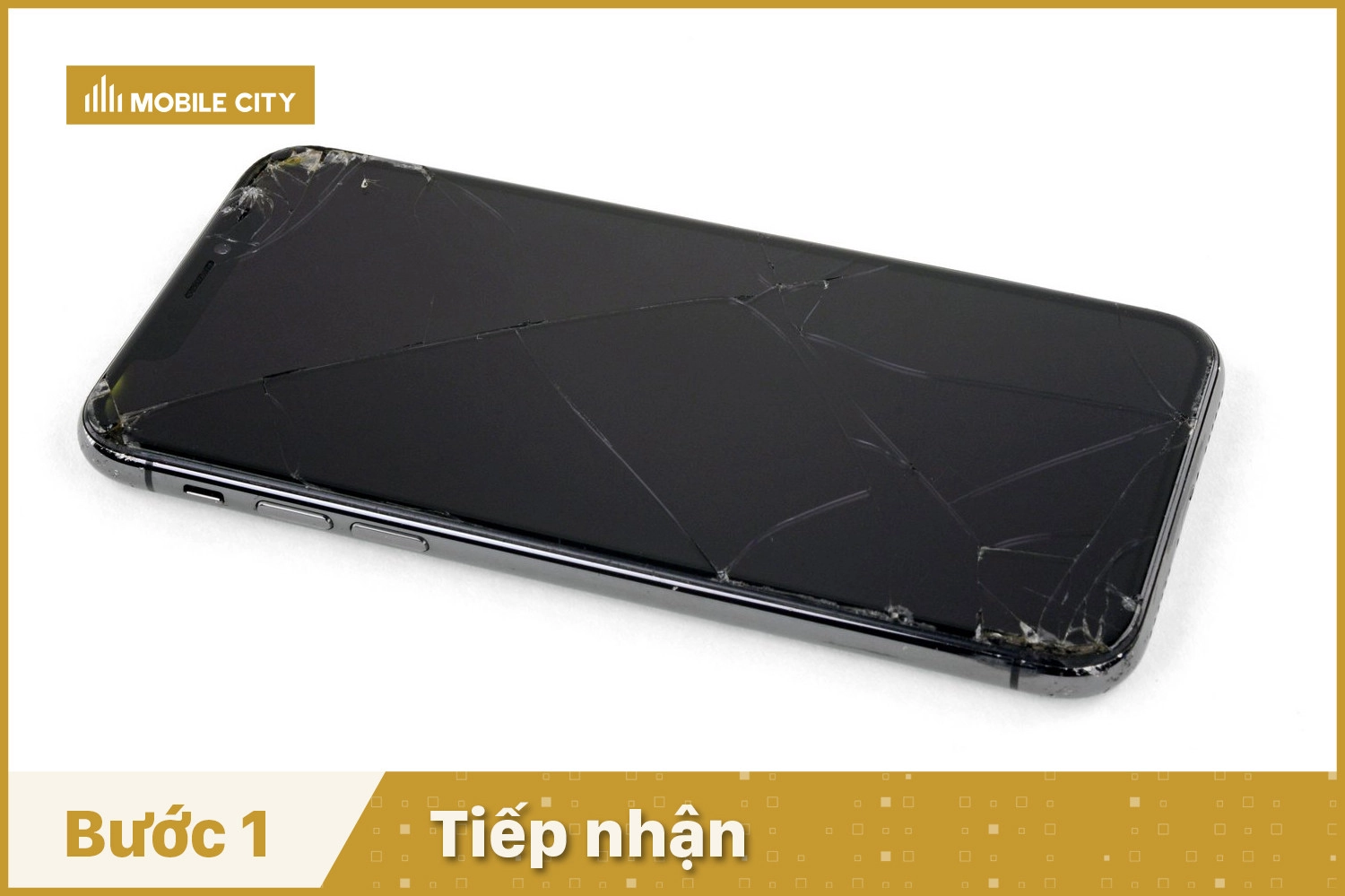 Tiếp nhận