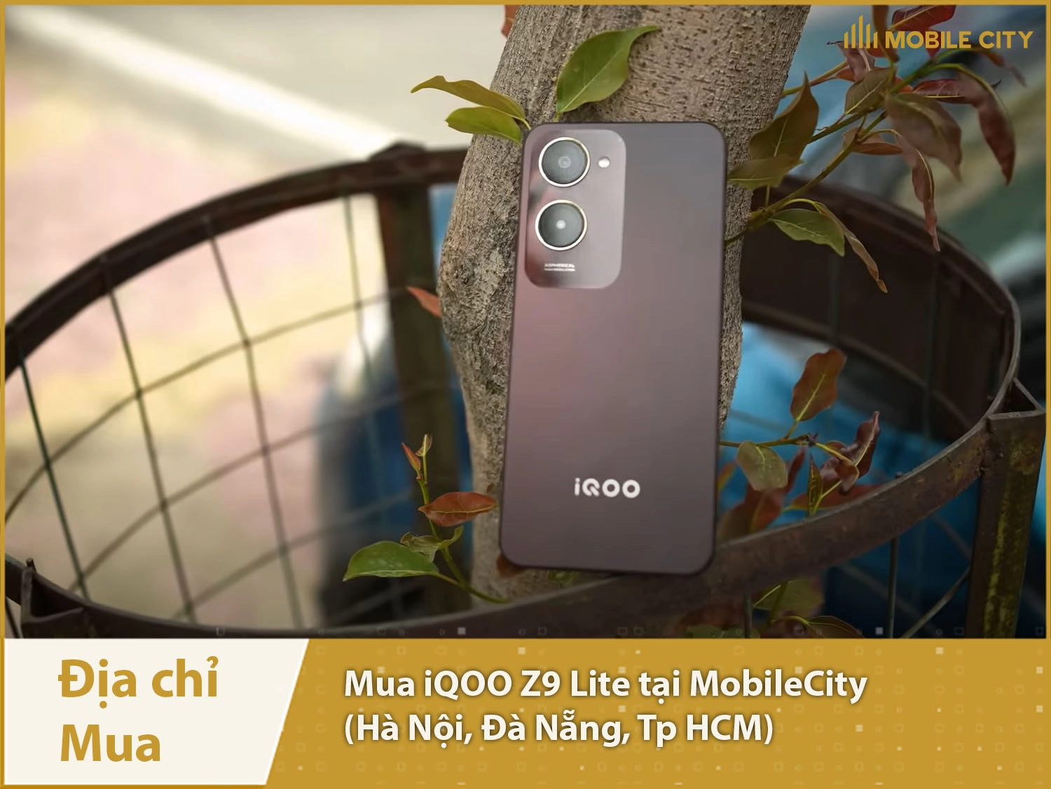 Địa chỉ mua Vivo iQOO Z9 Lite tại MobileCity