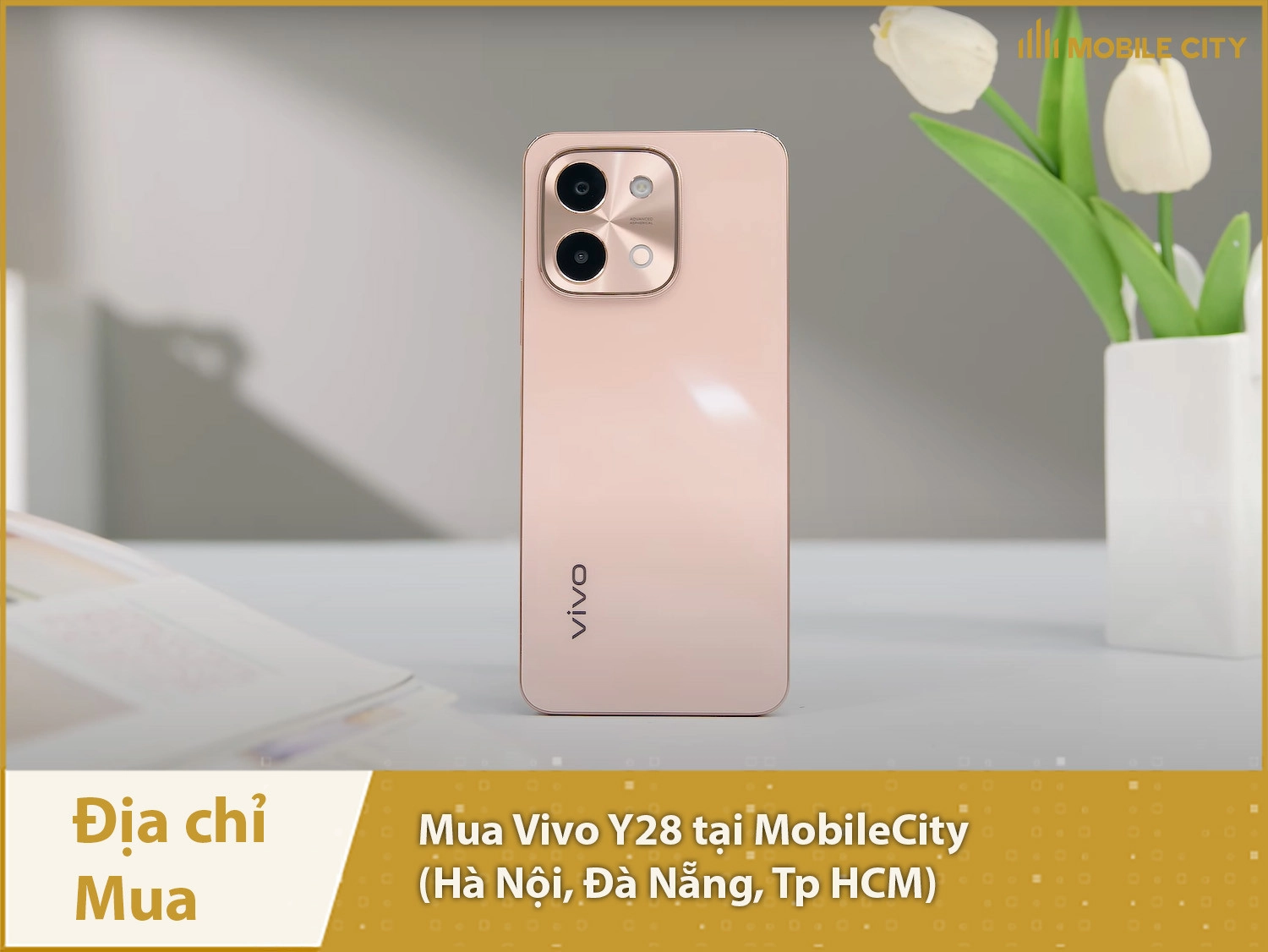 Địa chỉ mua Vivo Y28 Chính hãng tại MobileCity