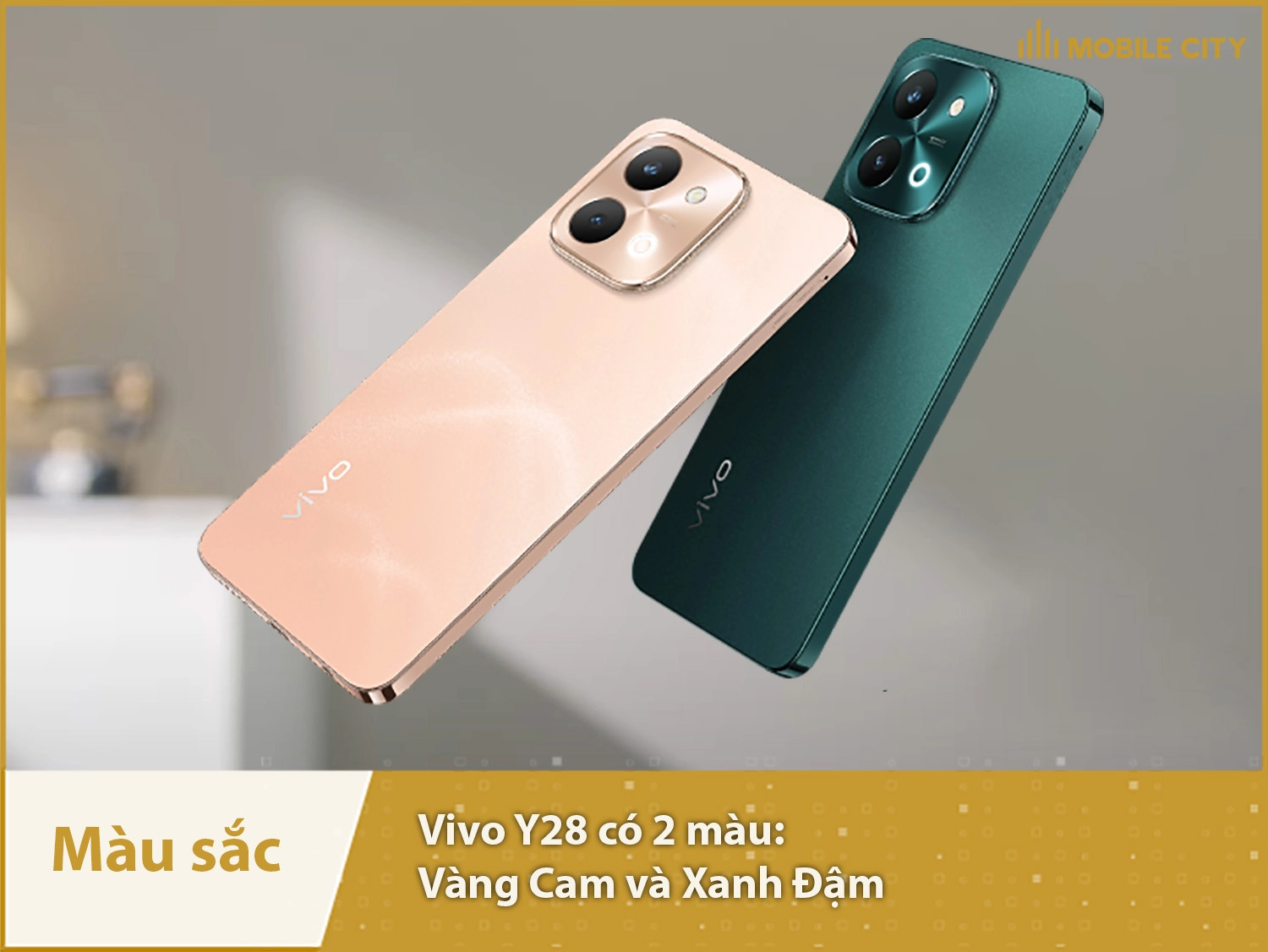 Vivo Y28 có 2 màu sắc