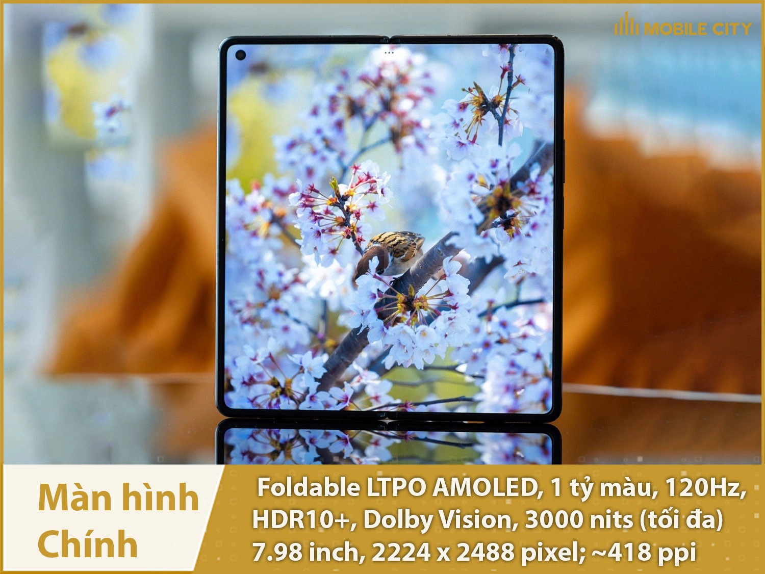 Foldable LTPO AMOLED, 1 tỷ màu, 120Hz