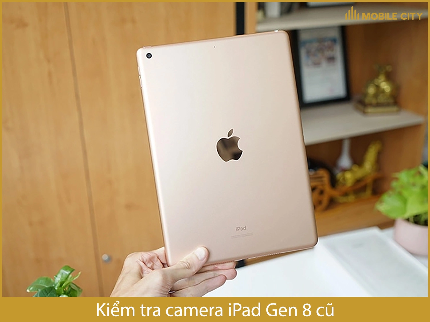 Kiểm tra camera iPad Gen 8 cũ