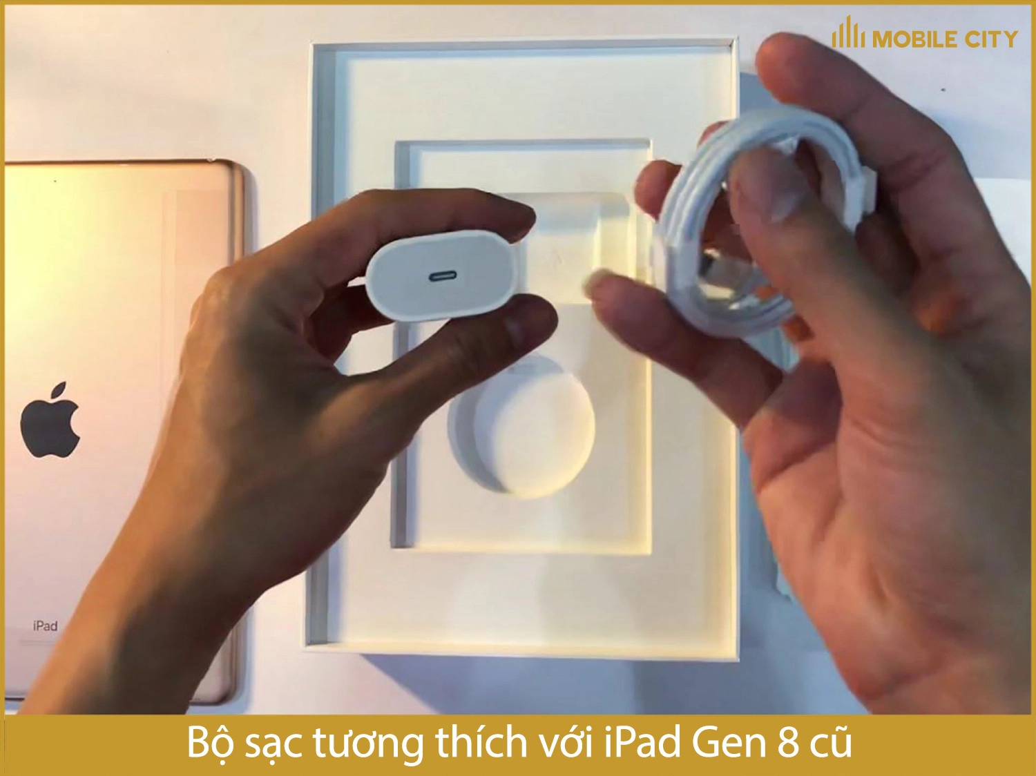 Bộ sạc iPad Gen 8