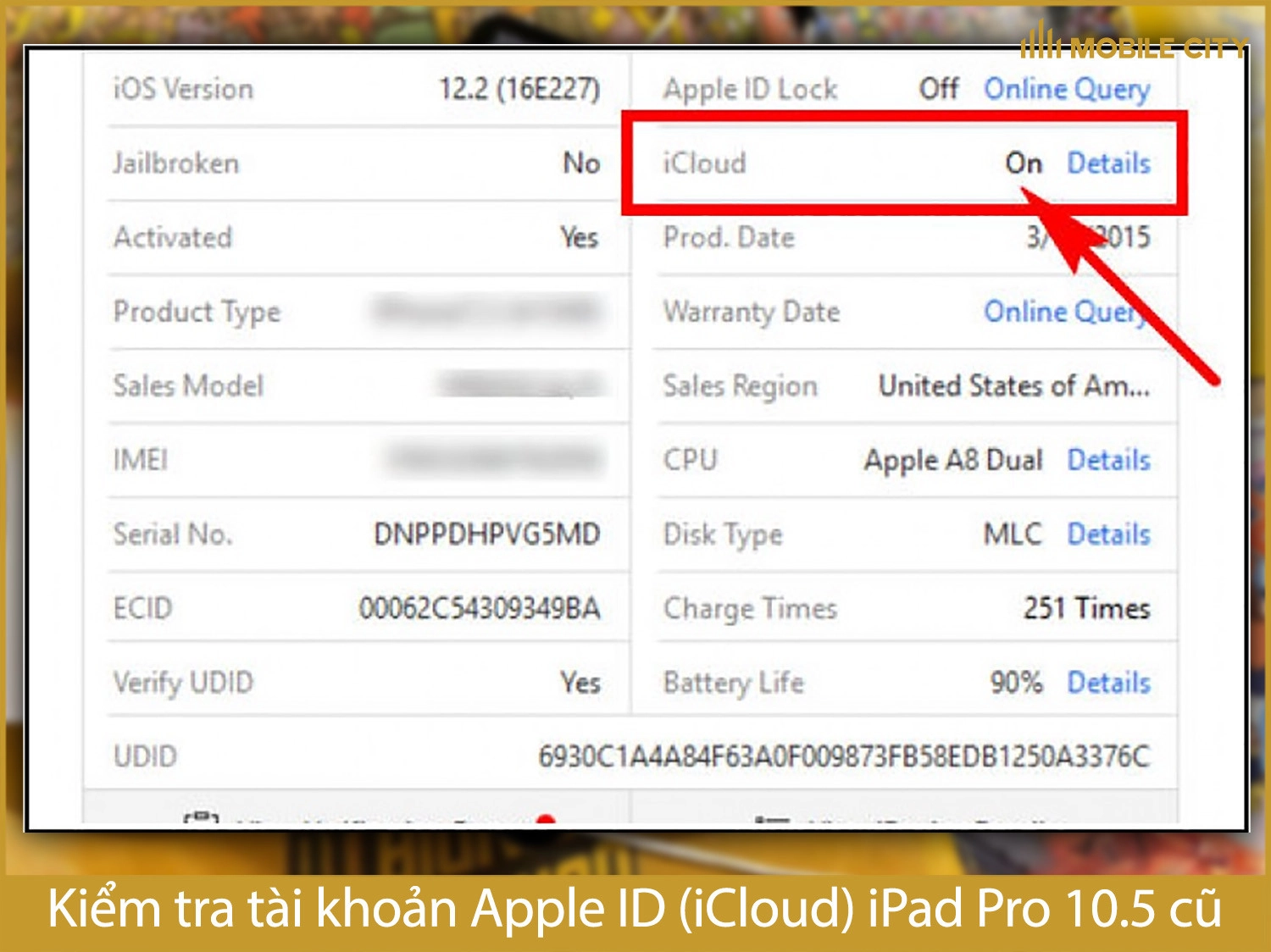 Kiểm tra tài khoản iColud iPad Pro 10.5 cũ