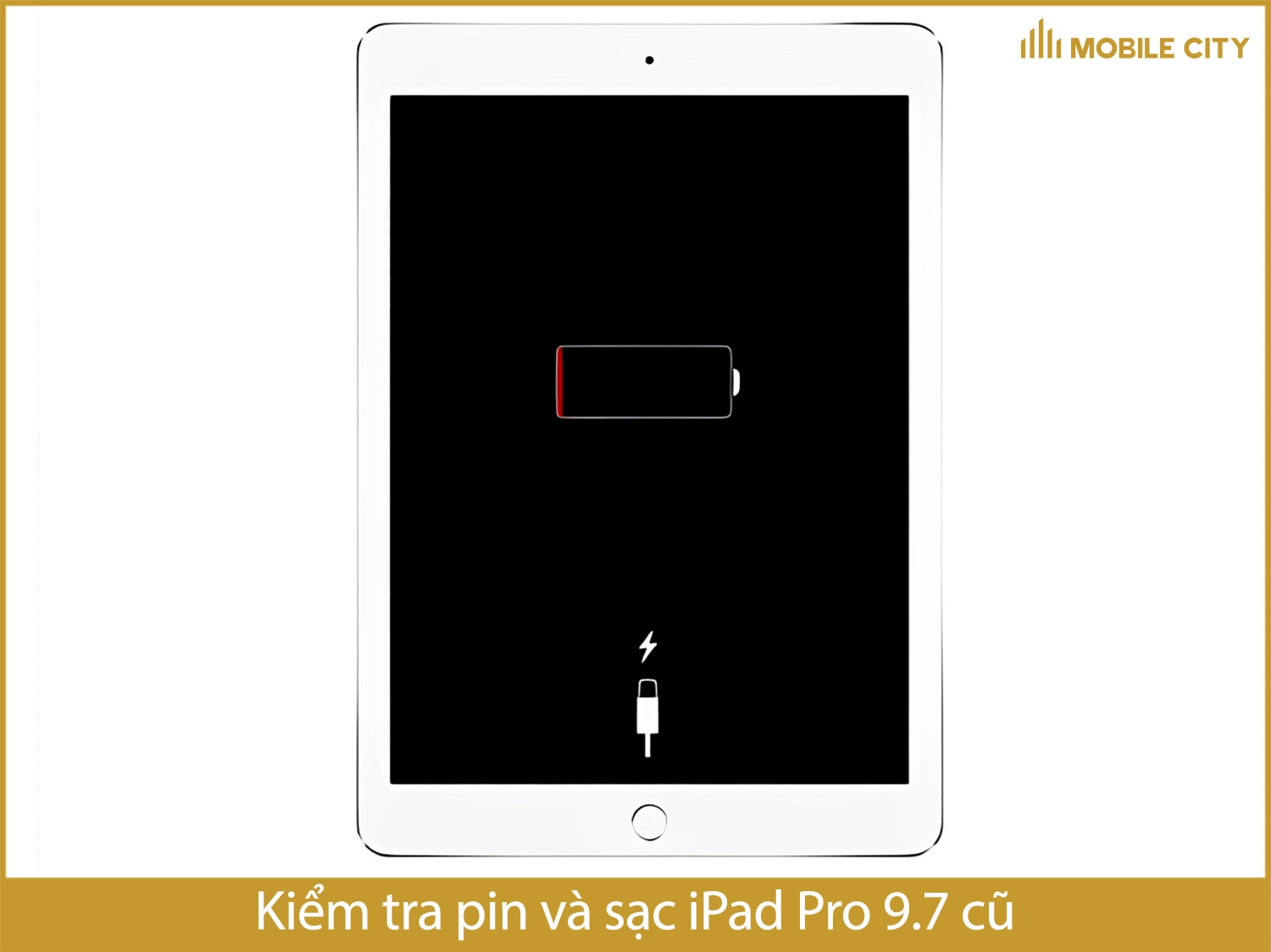 Kiểm tra pin iPad Pro 9.7 cũ