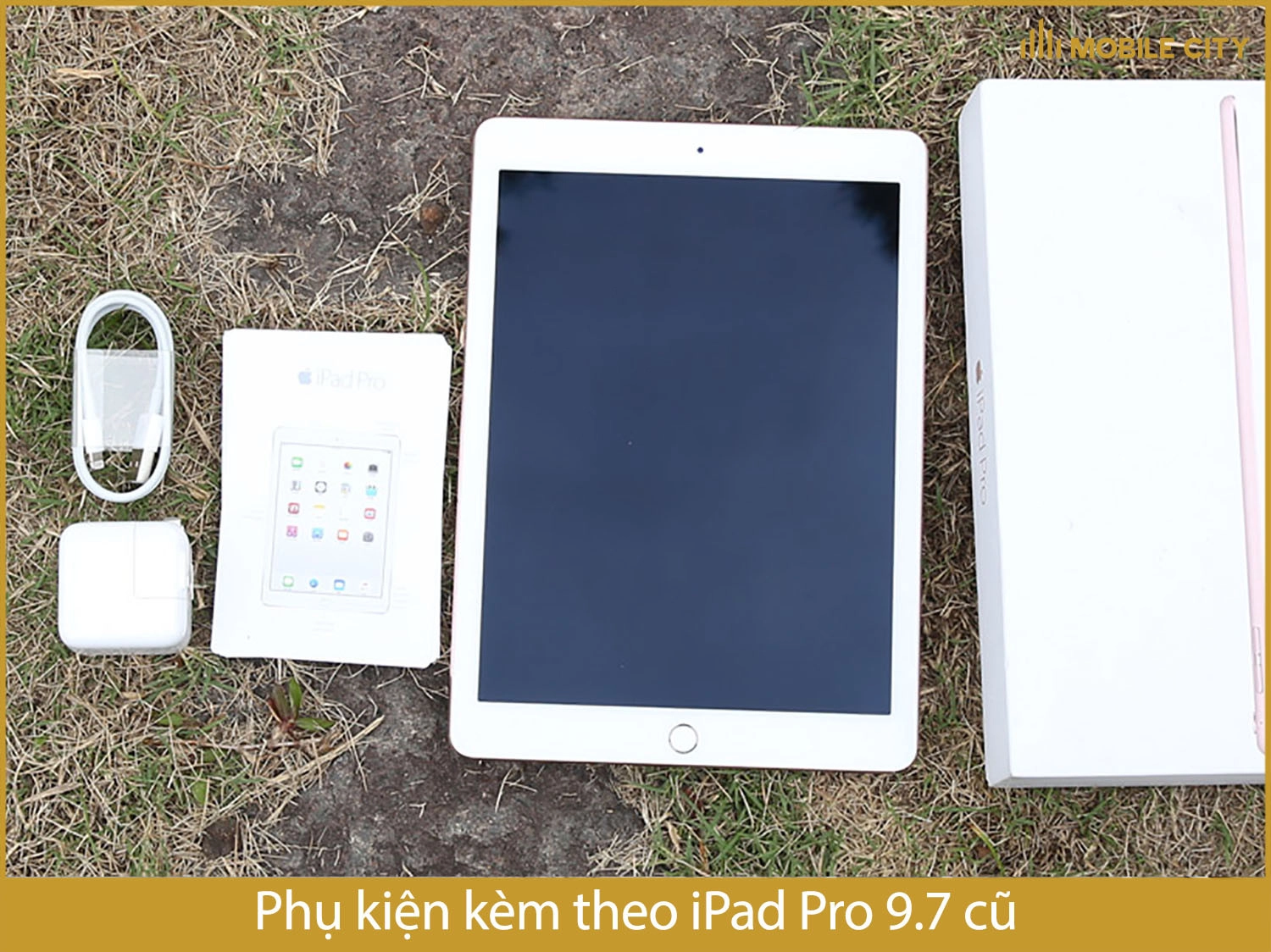 iPad Pro 9.7 cũ và bộ sạc