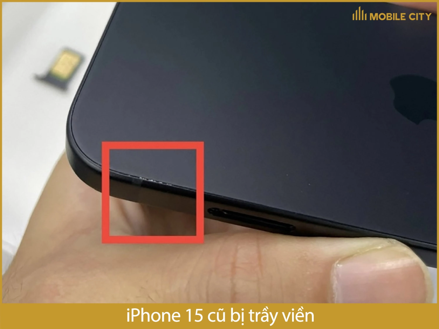 Kiểm tra tổng thể iPhone 15 cũ