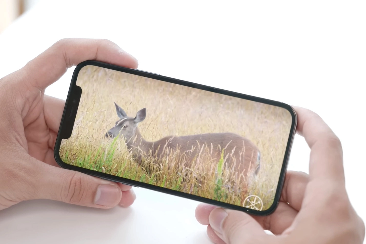 Thay màn hình Gen A iPhone 12 Pro, Hiển thị sắc nét chân thực trên màn hình Gen A