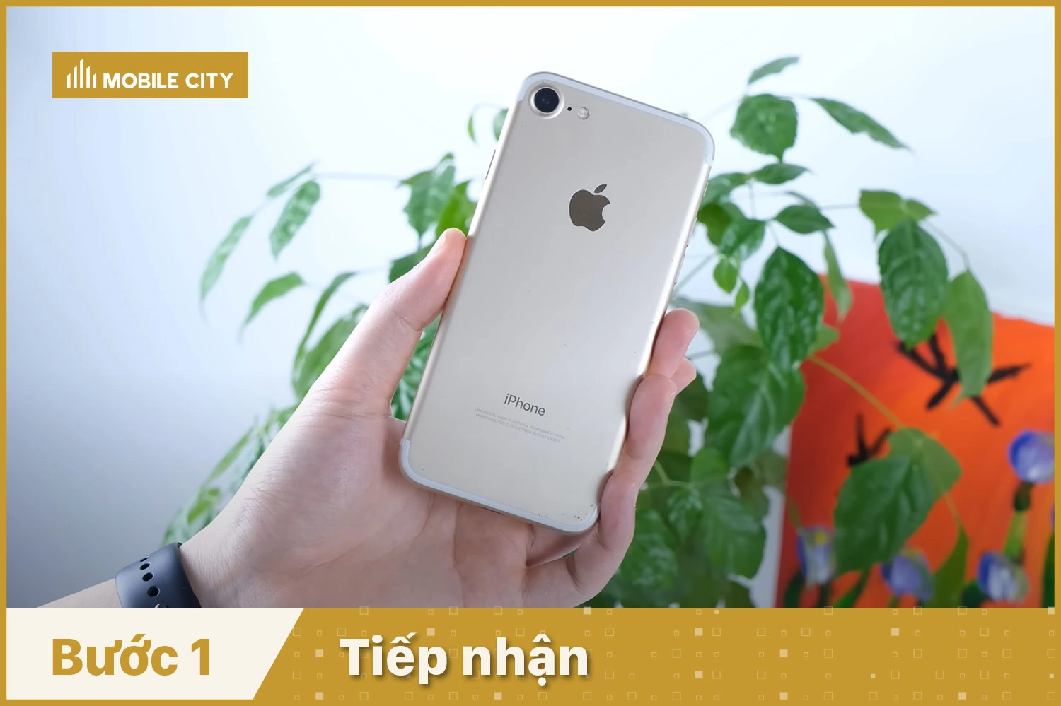 Thay Pin Pisen iPhone 7Thay Pin Pisen iPhone 7, tiếp nhận