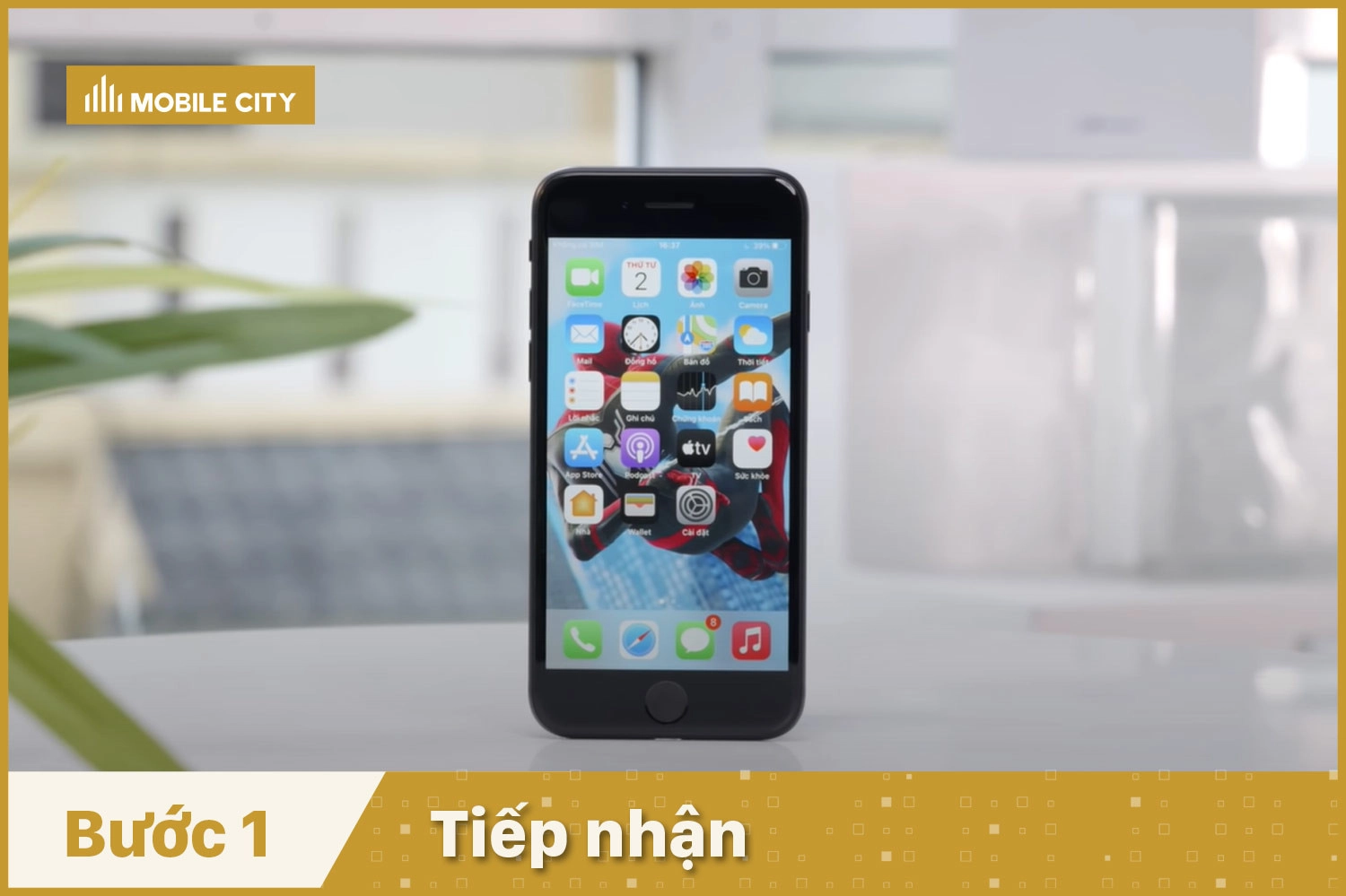 Thay Pin Pisen iPhone 8, tiếp nhận